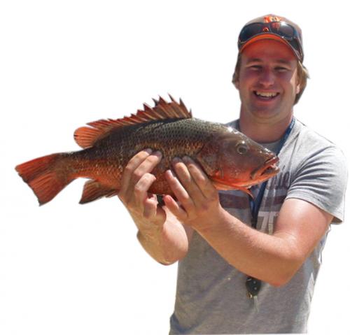 Fishing Tackle Noosaville QLD LBG