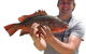 Noosa Fishing & Crab Adventures - thumb 0