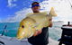 Stryker Sportsfishing - thumb 2