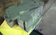 Caloundra Sheet Metal - thumb 3