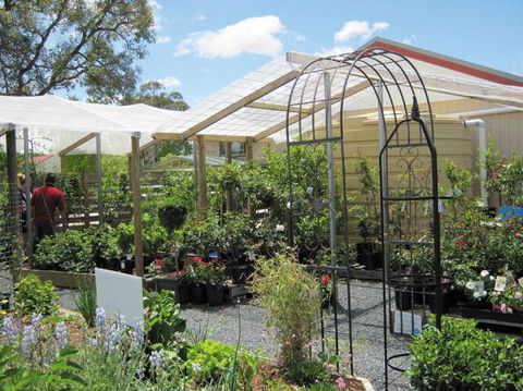 Little Ladybird Plant Nursery - LBG 1