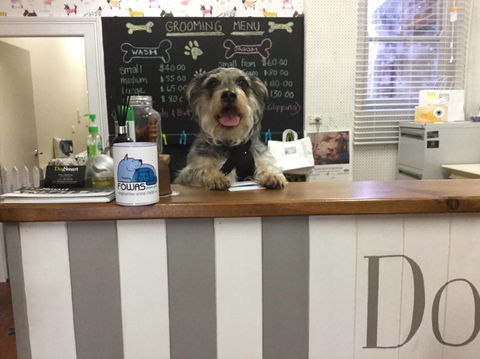 Doggie Barber - LBG 0