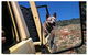 Country Diesel Maintenance Pty Ltd - thumb 4