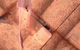 Bundaberg Building & Pest Inspections - thumb 0