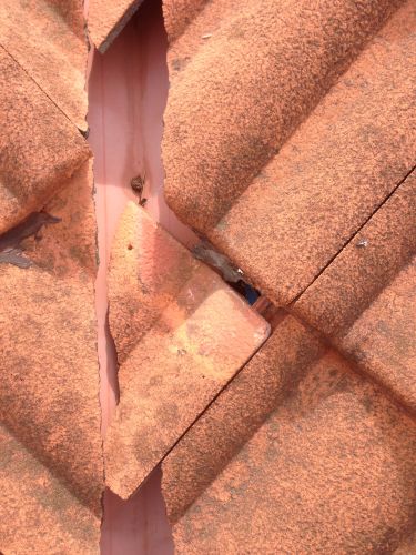 Bundaberg Building & Pest Inspections - LBG 0