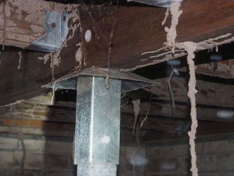Bundaberg Building & Pest Inspections - LBG 1
