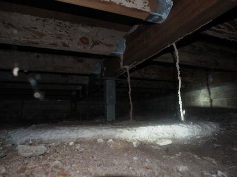Bundaberg Building & Pest Inspections - LBG 2