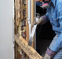 Coalfields Pest Control - LBG