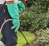 Tropical Pest Control - LBG