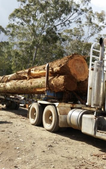 Timber Supplies Eungella QLD LBG