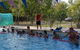 Cannonvale Swim Centre - thumb 3