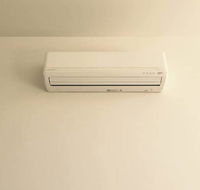 Polar Bear Air  Electrical - LBG