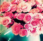 Amor Wedding Stylists  Decorators - LBG