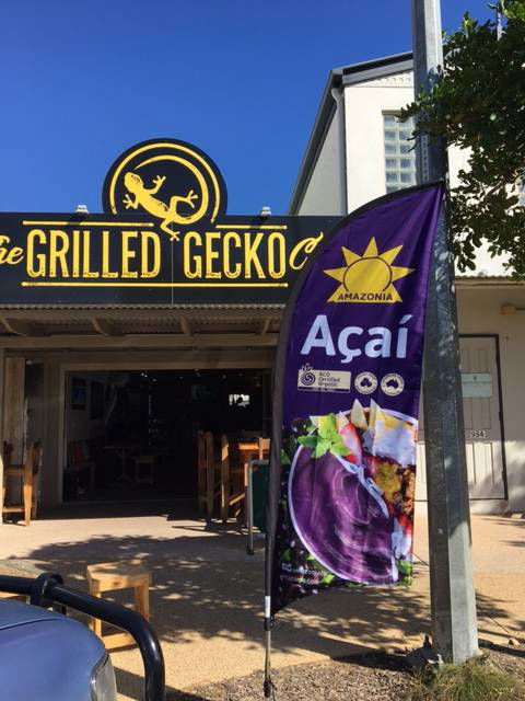 The Grilled Gecko Cafe - LBG 0