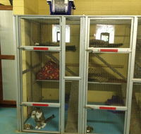 Purrs  Paws Pet ResortNT Agent For Ozpet Transport - LBG