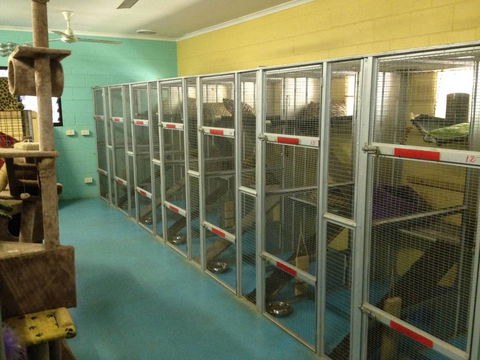 Purrs & Paws Pet Resort–NT Agent For Ozpet Transport - LBG 1