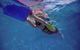 Jump! Swim School Mackay - thumb 3