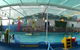 Affinity Swim - thumb 2