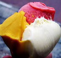 Geminis Gelati - LBG