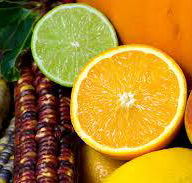 Wild Juice Bars - LBG