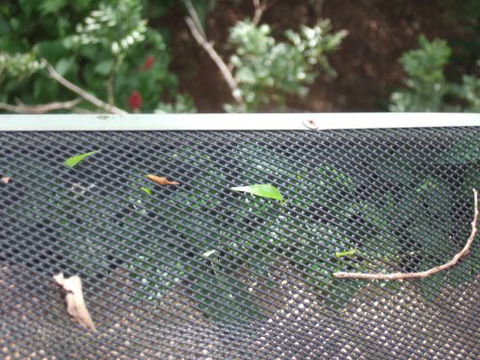 Gutter–Vac - LBG 1