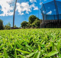 Hamilton Plains Turf - LBG