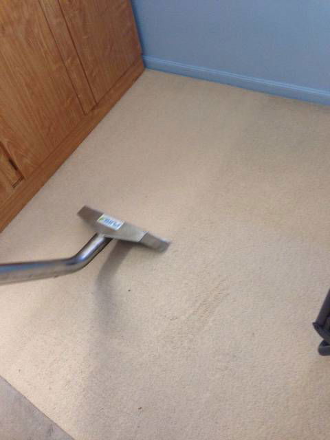 Pure Carpet & Tile Cleaning - LBG 2