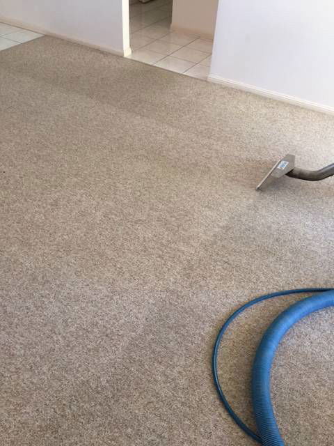 Pure Carpet & Tile Cleaning - LBG 3