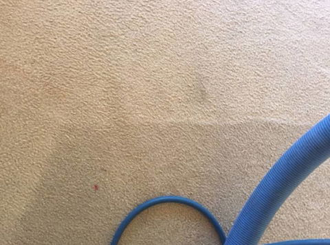 Pure Carpet & Tile Cleaning - LBG 10