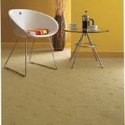 Carpet Retailers Caloundra QLD LBG