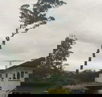 McCords Tree Services  Excavations - LBG