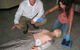 First Aid Advantage - thumb 4