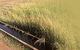 Rural Pumping Solutions - thumb 0