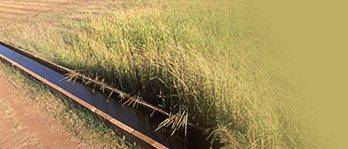 Rural Pumping Solutions - LBG 0