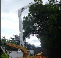 Tree Arrangements - LBG
