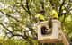 Paradise Tree Services - thumb 0