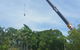 Paradise Tree Services - thumb 3