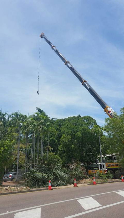 Paradise Tree Services - LBG 3
