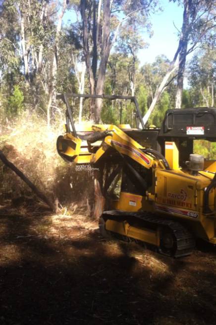 A1 Tree Service NSW Pty Ltd - LBG 0