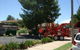 A1 Tree Service NSW Pty Ltd - thumb 4