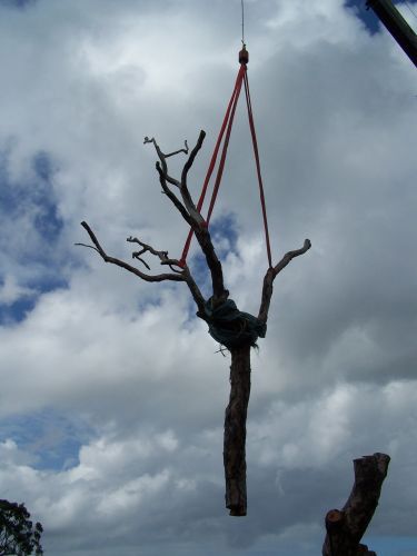 Treesafe Australia - LBG 1