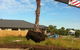 Treesafe Australia - thumb 2