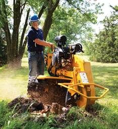Complete Tree Management - LBG 5