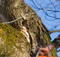Diverse Asset Maintenance Services - LBG