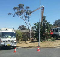 D  C Tree Services P/L - LBG