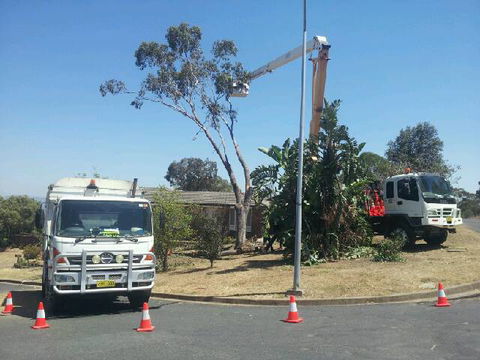 D & C Tree Services P/L - LBG 0