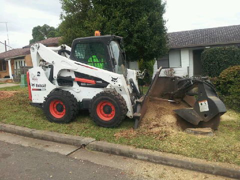 D & C Tree Services P/L - LBG 2