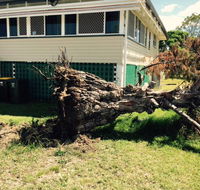 Weier Troy Tree Service - LBG