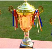 Discount Trophies Australia - LBG