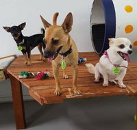 Gympie Doggy Day Care - LBG